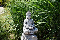 Budda