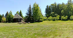 Panorama